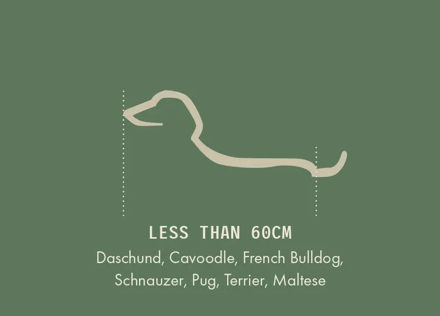 Shop-Small Eco Dogs Aust