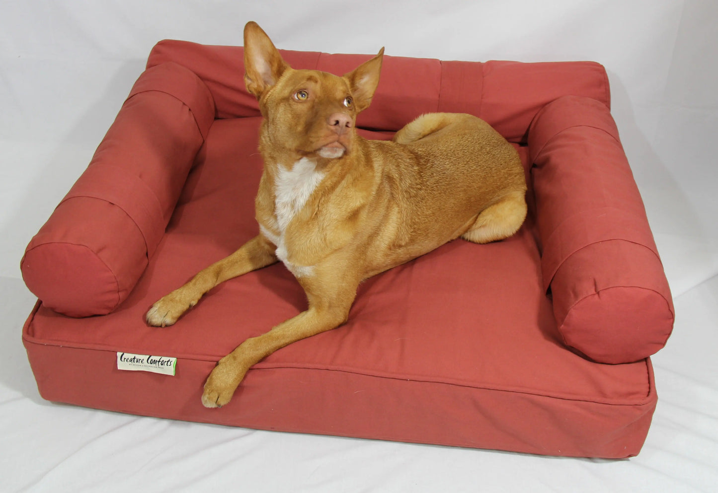 Large Eco Couch with three bolster cushions Large - 109cm x 80cm x 18cm