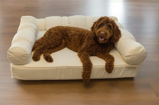 Large Orthopedic Dog Bed with Three Bolster Cushions - Eco Friendly & Non-Toxic