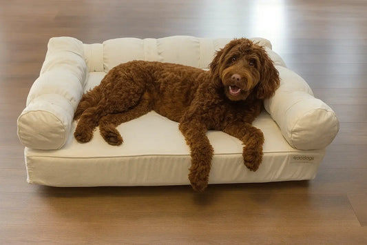 Large Orthopedic Dog Bed with Three Bolster Cushions - Eco Friendly & Non-Toxic