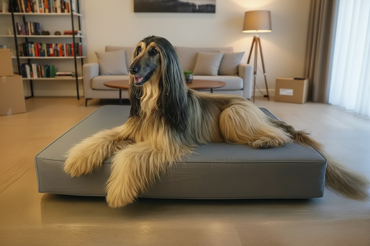 XLarge Orthopedic Dog Bed NO Bolsters - Eco Friendly & Non-Toxic