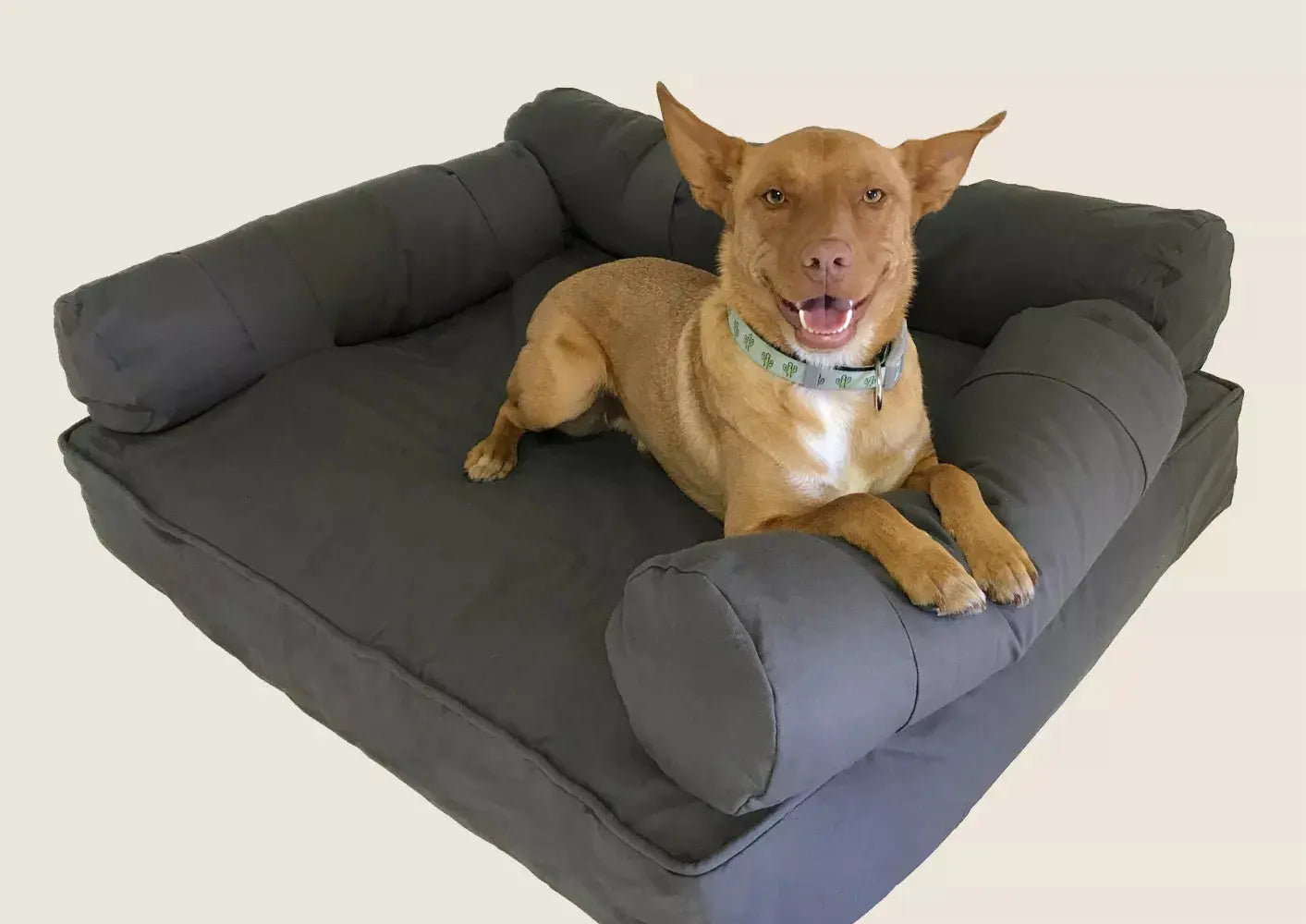 Large Eco Couch with Three Bolster Cushions Eco Dogs Aust