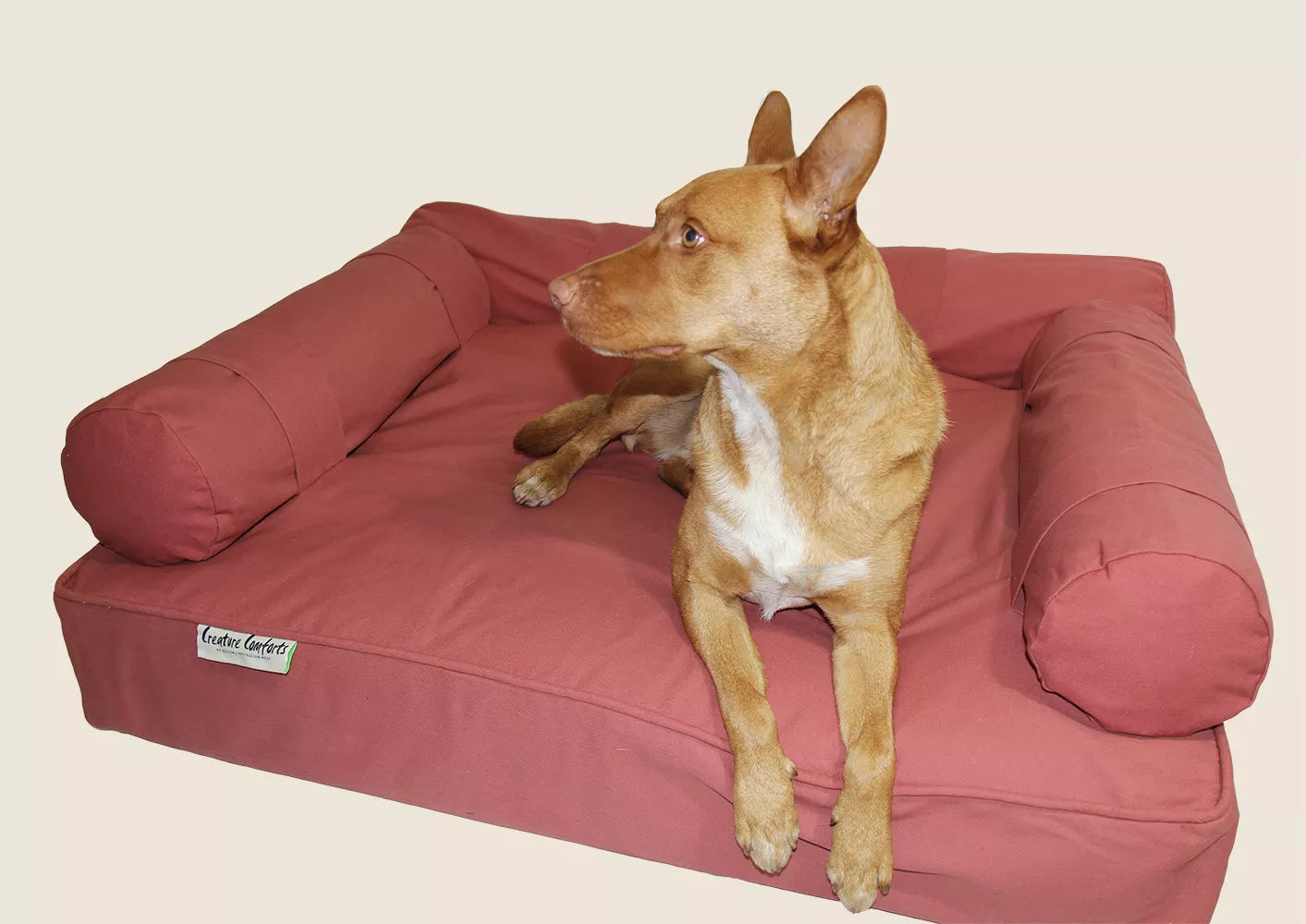 Large Orthopedic Dog Bed with Three Bolster Cushions - Eco Friendly & Non-Toxic