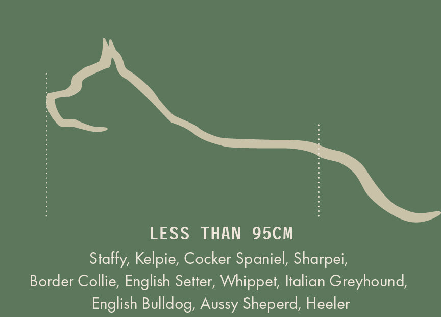 Medium Orthopedic Dog Bed with One Bolster - Eco Friendly & Non-Toxic