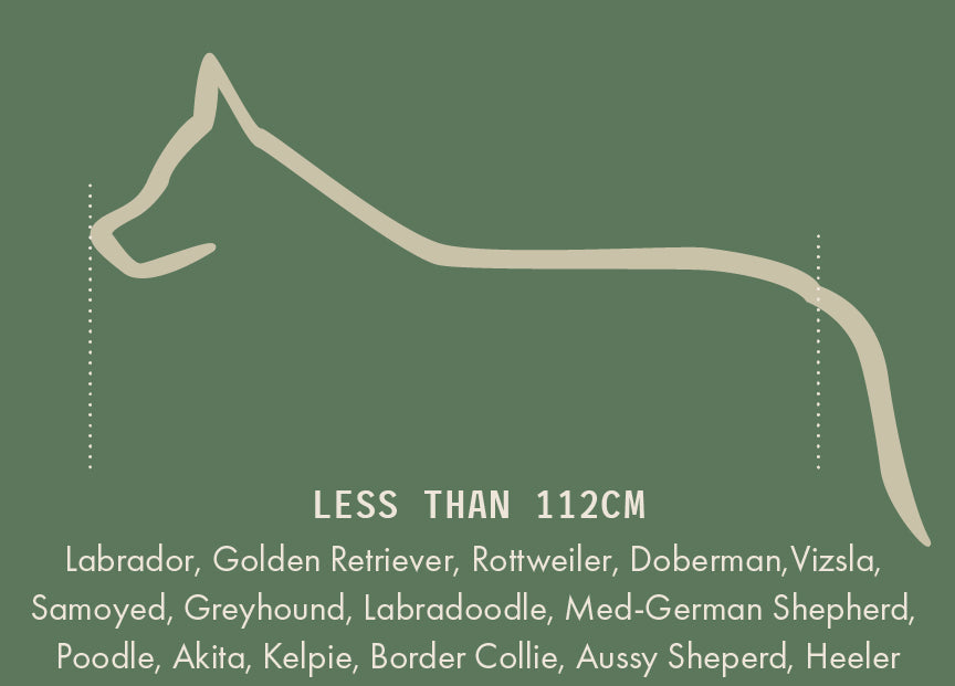 Large Orthopedic Dog Bed No Cushions - Eco Friendly & Non-Toxic