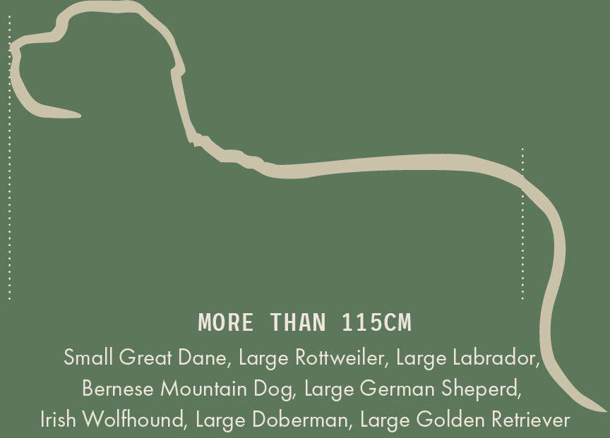 XLarge Orthopedic Dog Bed with Three Bolster Cushions - Eco Friendly & Non-Toxic