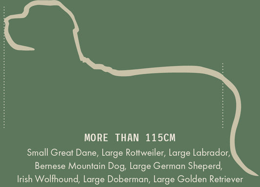 XLarge Orthopedic Dog Bed with One Bolster Cushion - Eco Friendly & Non-Toxic