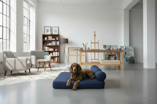 Medium Orthopedic Dog Bed with One Bolster Cushion - Eco Friendly & Non-Toxic