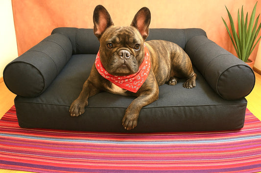 Medium Orthopedic Dog Bed with Three Bolster Cushions - Eco Friendly & Non-Toxic