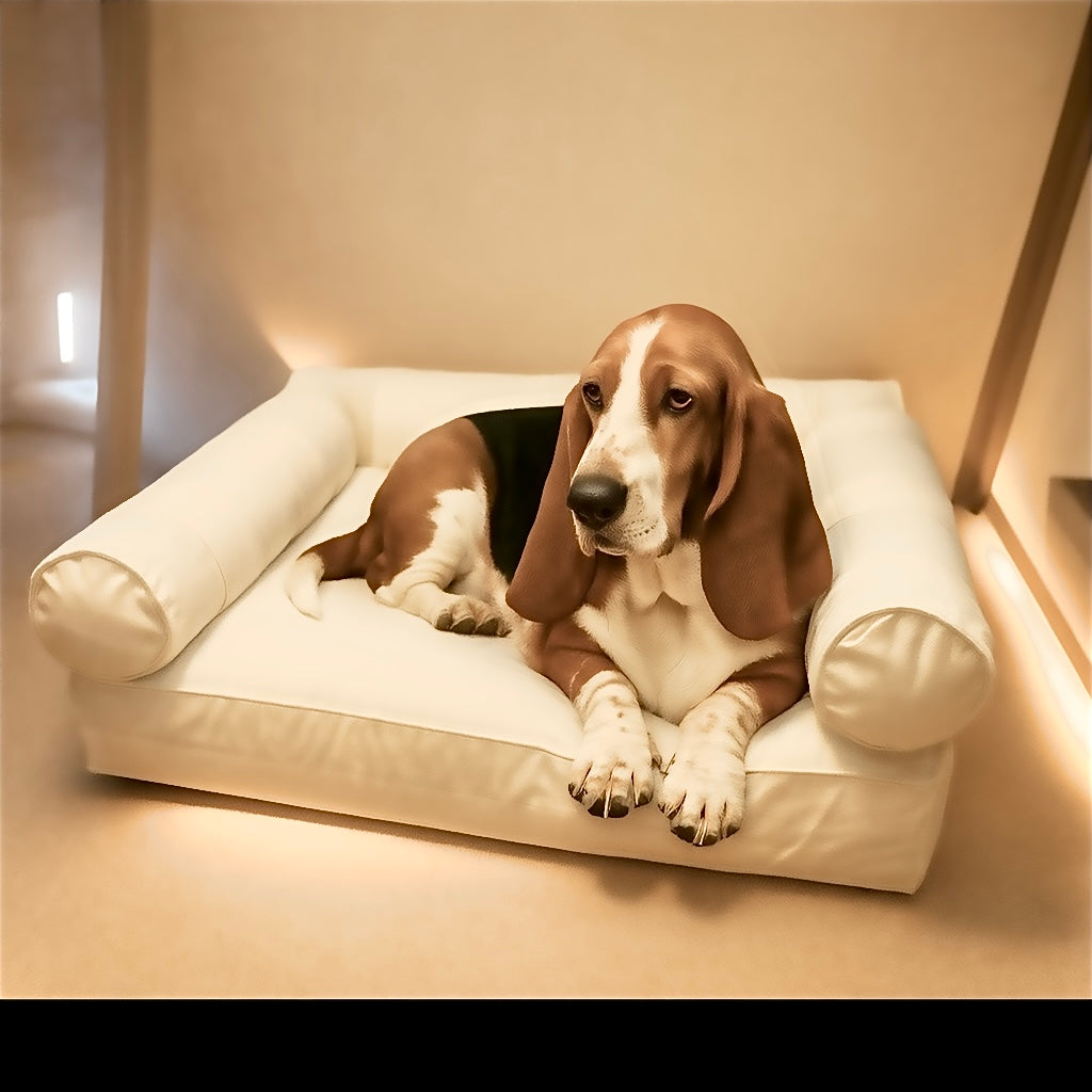 Medium Orthopedic Dog Bed with Three Bolster Cushions - Eco Friendly & Non-Toxic