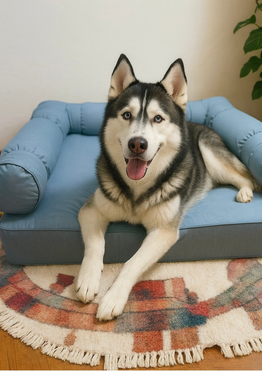 XLarge Eco Orthopedic Dog Couch Bed with Three Bolster Cushions