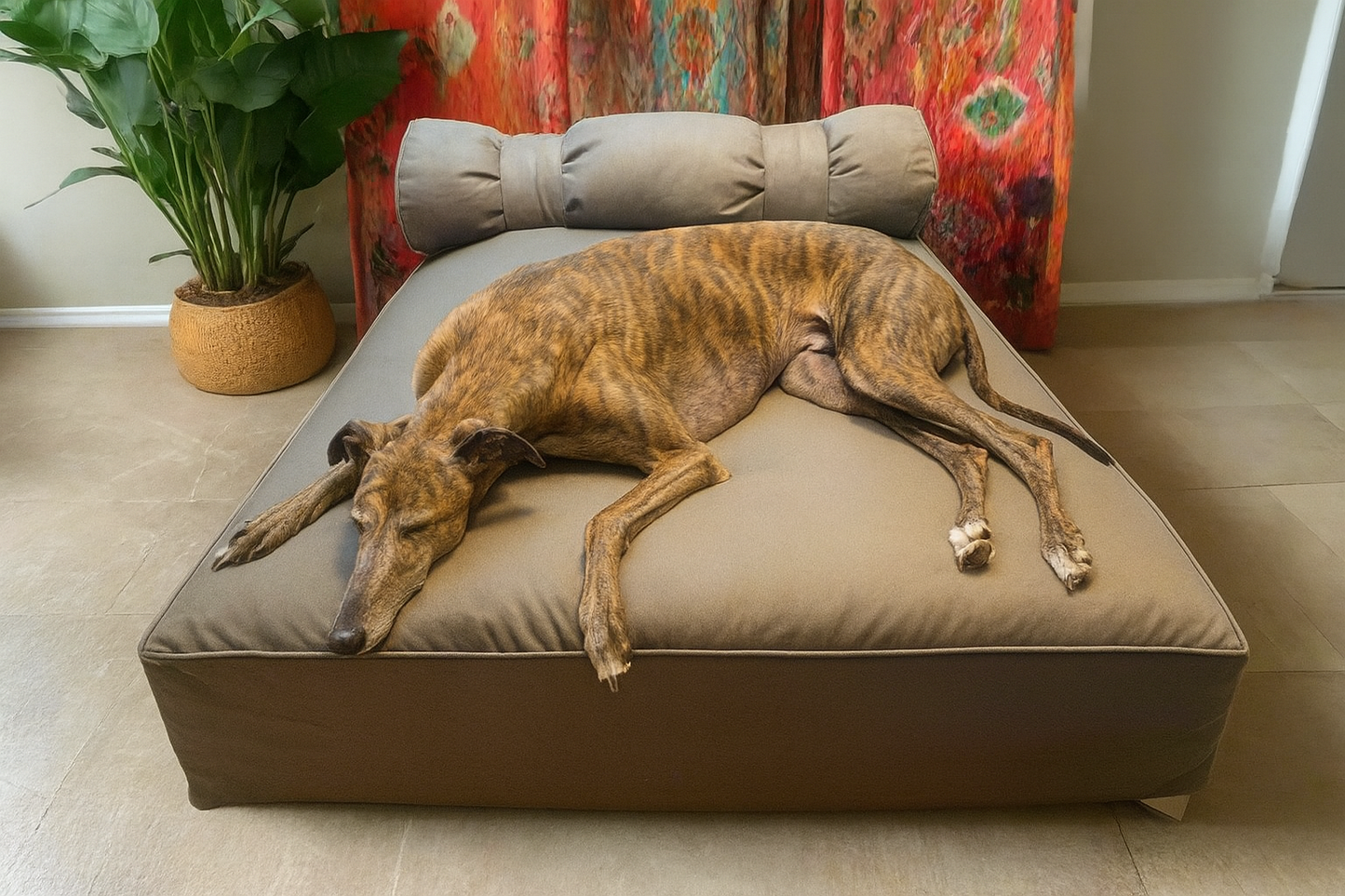 Large Eco Orthopedic Dog Couch Bed with One Bolster Cushion