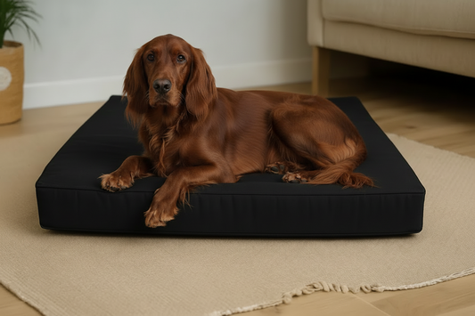 Large Orthopedic Dog Bed No Cushions - Eco Friendly & Non-Toxic