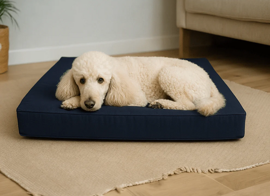 d4eb943492794718a40c821f93318f4fpfti__PID:58d6a16c-e4fb-44cf-89ad-a319f714087a