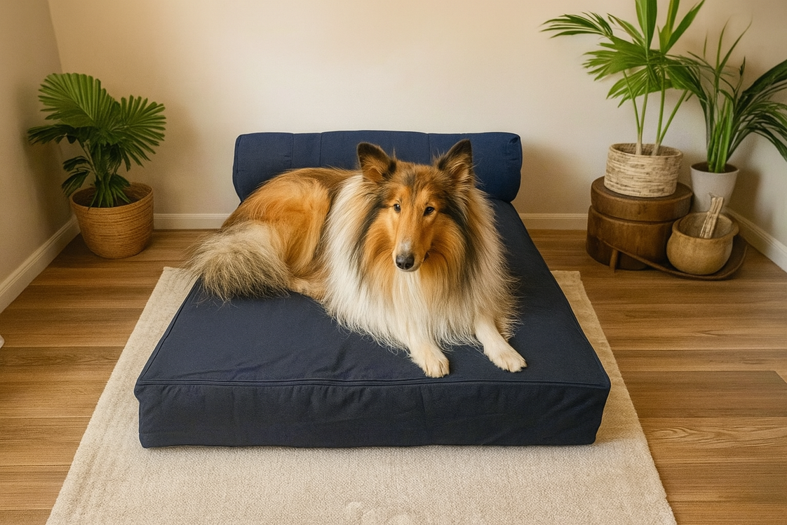 Large Eco Orthopedic Dog Couch Bed with One Bolster Cushion