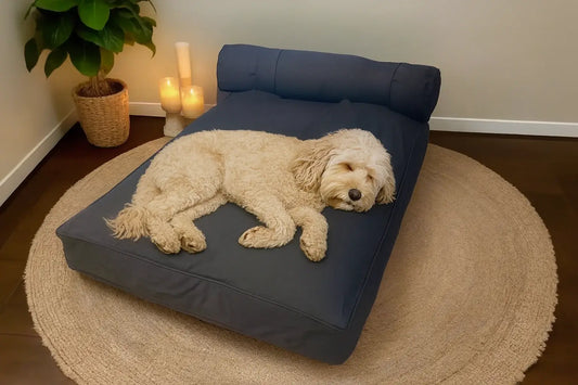Medium Orthopedic Dog Bed with One Bolster - Eco Friendly & Non-Toxic