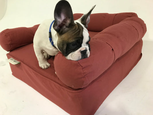 Small Eco Dog Couch with three bolster cushions