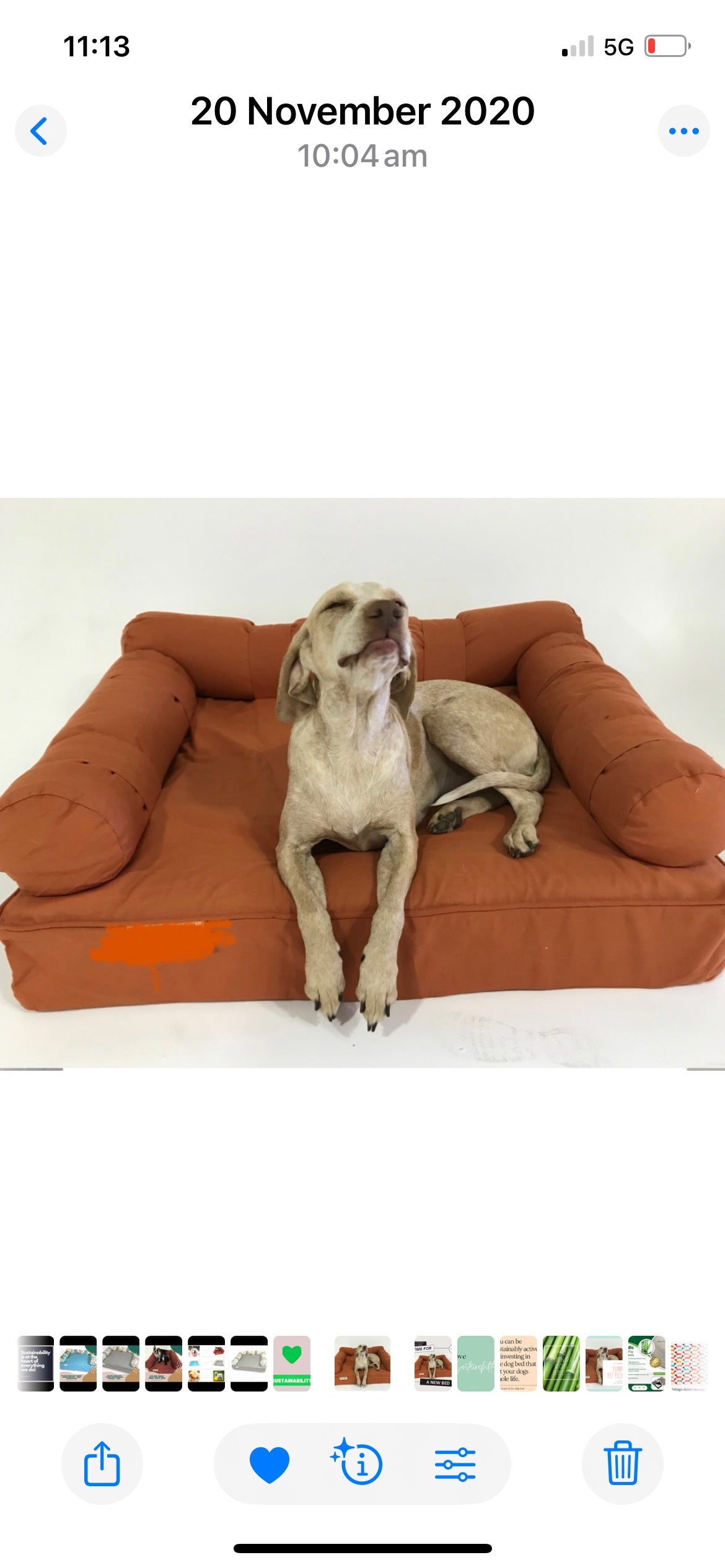 Eco Dog Bed Cover Sets - 100% Raw Cotton Fibre - Washable & Made to Last