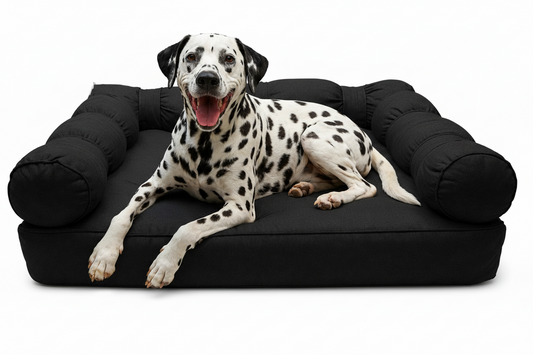 XLarge Orthopedic Dog Bed with Three Bolster Cushions - Eco Friendly & Non-Toxic