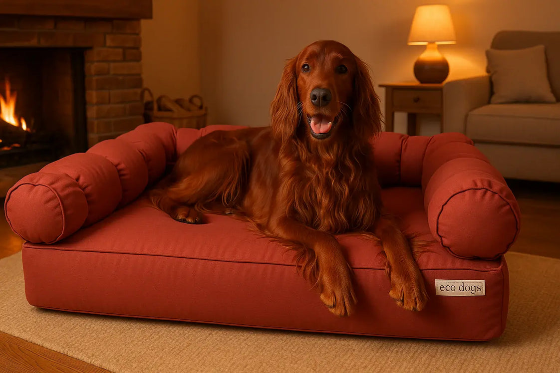 XLarge Orthopedic Dog Bed with Three Bolster Cushions - Eco Friendly & Non-Toxic