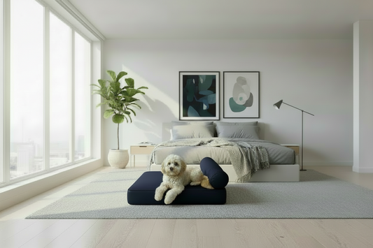 Medium Orthopedic Dog Bed with One Bolster - Eco Friendly & Non-Toxic