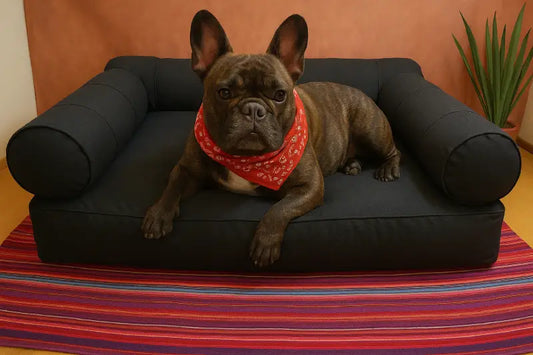 Medium Orthopedic Dog Bed with Three Bolster Cushions - Eco Friendly & Non-Toxic