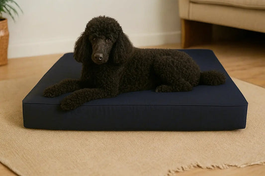 XLarge Orthopedic Dog Bed NO Bolsters - Eco Friendly & Non-Toxic