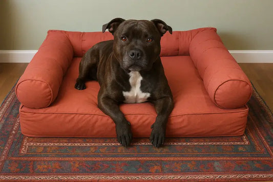 Medium Orthopedic Dog Bed with Three Bolster Cushion Light Beige