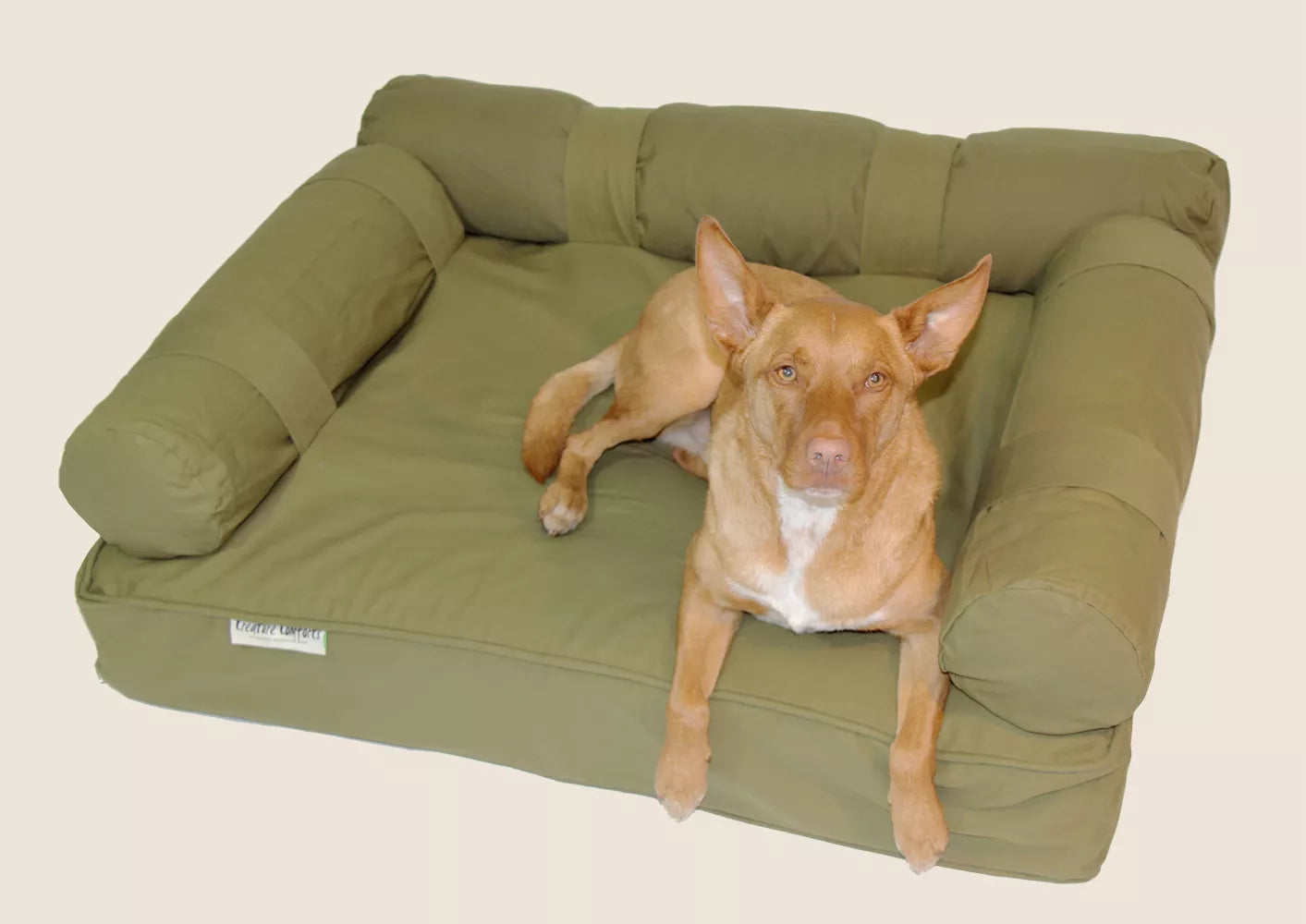 Orthopedic Eco Dog Couch Large Mineral Wall